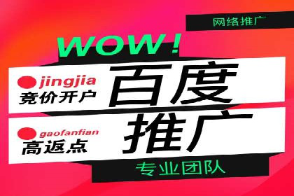 信息流广告投放公司案例分析报告